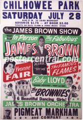 James Brown Poster